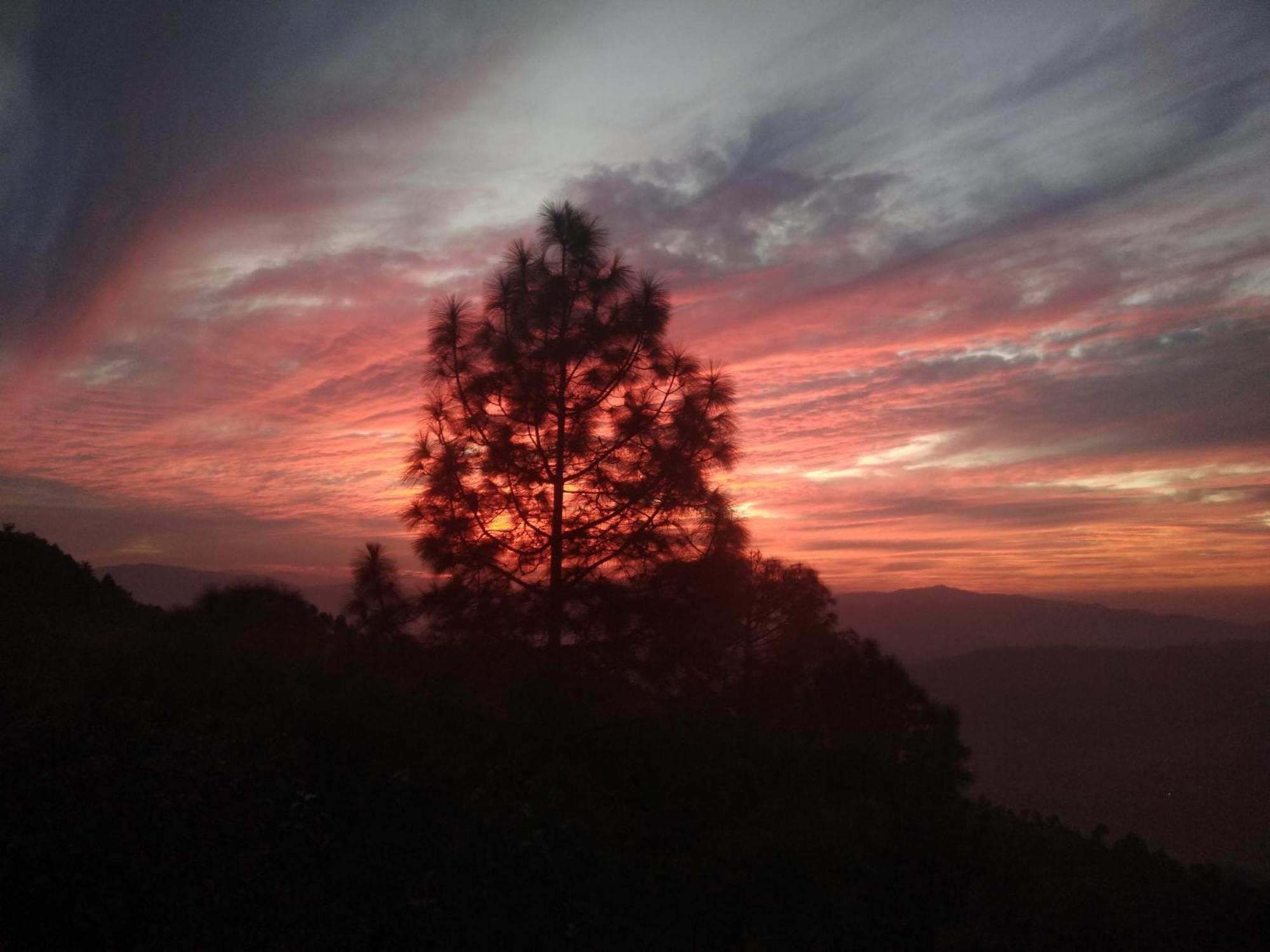 Mehra Cottage Almora Room photo